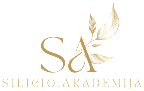 Silicio Akademija