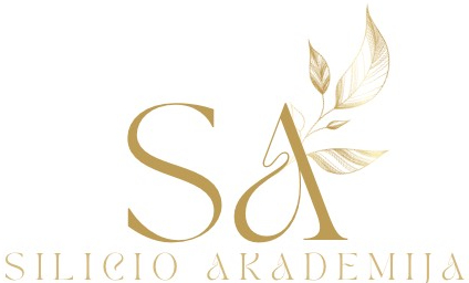 Silicioakademija.lt-